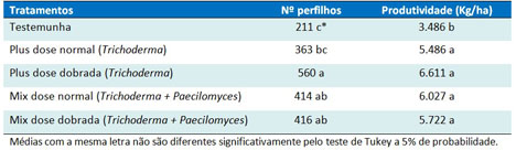 http://www.diadecampo.com.br/arquivos/image_bank/especiais/arroz_15_3DENTRO_201693084028.jpg