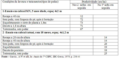 http://www.diadecampo.com.br/arquivos/image_bank/especiais/cafe_geada_a_DENTRO_2016721105913.jpg