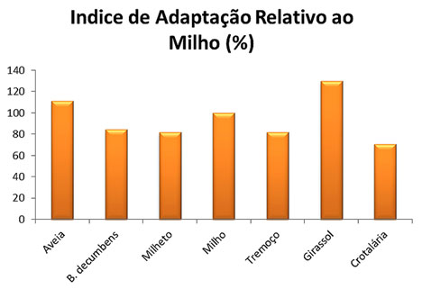 http://www.diadecampo.com.br/arquivos/image_bank/especiais/crotalaria_2_DENTRO_20161220142815.jpg