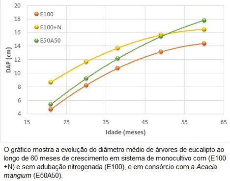 http://www.diadecampo.com.br/arquivos/image_bank/especiais/eucalipto10_dentro_2017620101236.jpg