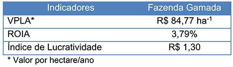 http://www.diadecampo.com.br/arquivos/image_bank/especiais/saf4_DENTRO_2016720102628.jpg