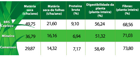 http://www.diadecampo.com.br/arquivos/image_bank/especiais/tab_1_DENTRO_20161013960.jpg